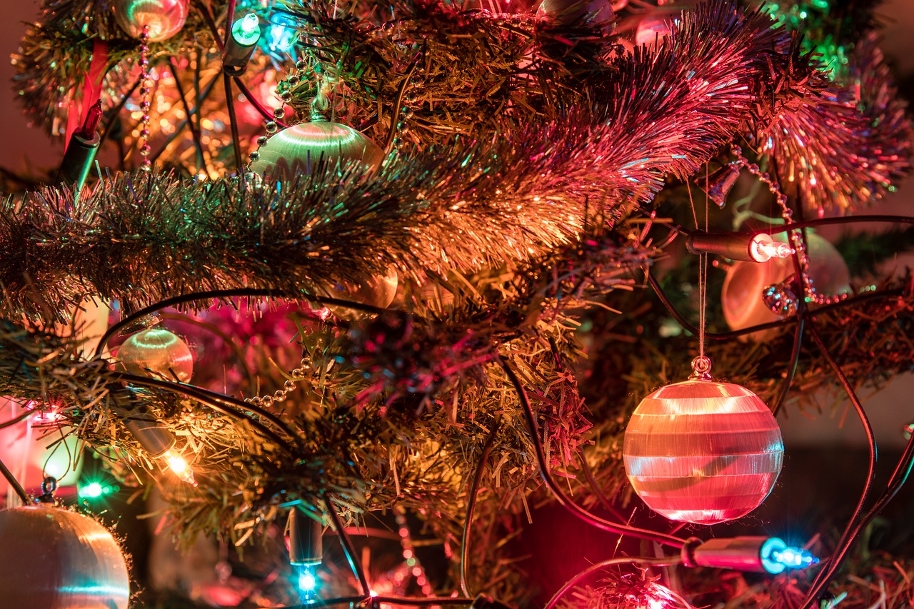 Fakta a zajímavosti o vánočních stromcích